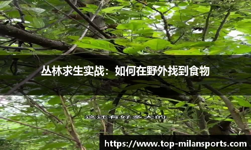 米兰体育官网